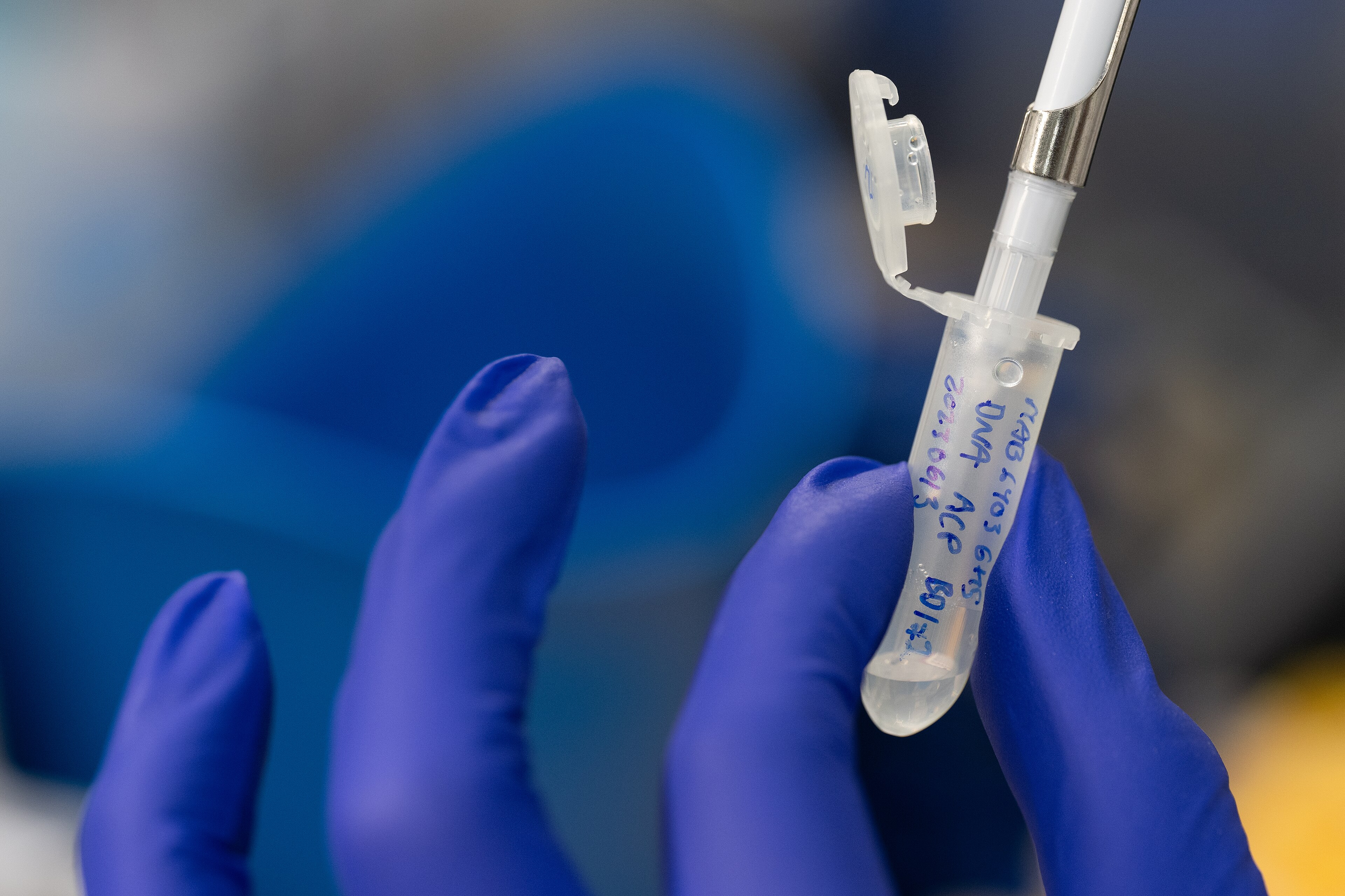 Une main gantée tient un microtube dans lequel est introduite une pointe de pipette.